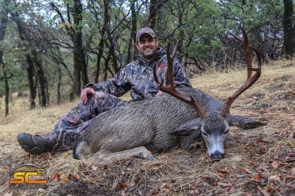 Blacktail Deer Hunting (California) Photo